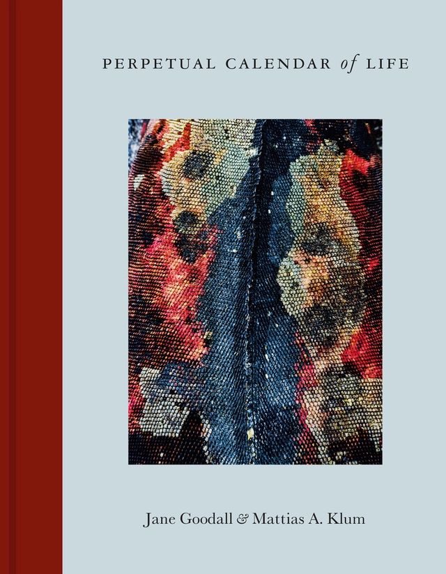 Perpetual Calendar of life; Mattias Klum, Jane Goodall; 2018