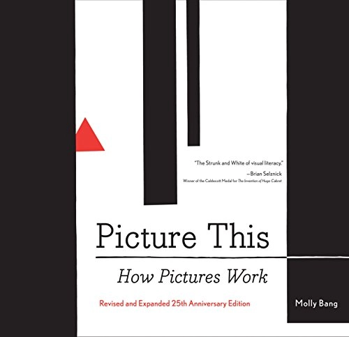 Picture this : how pictures work; Bang Garrett; 2016