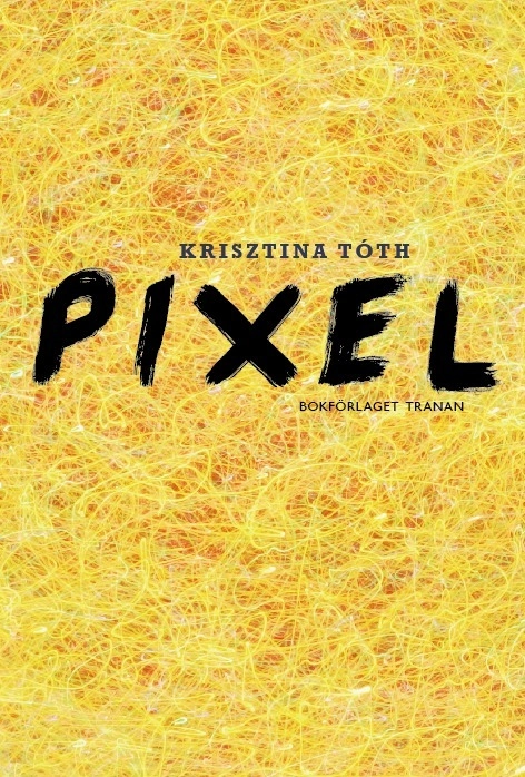 Pixel; Krisztina Tóth; 2015