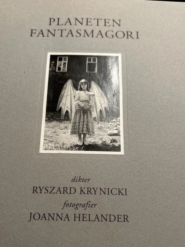 Planeten Fantasmagori; Ryszard Krynicki, Joanna Helander, Bo Persson, Göran Tunström; 1994