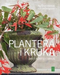 Plantera i kruka; Agneta Ullenius; 2008