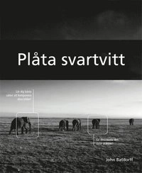 Plåta svartvitt; John Batdorff; 2012