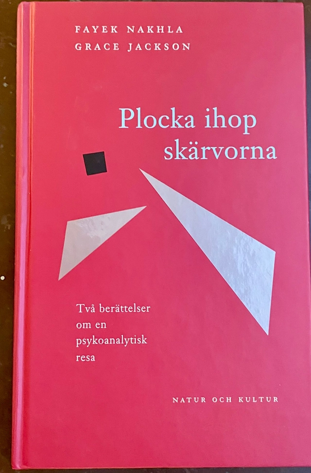 Plocka ihop skärvorna : Två berättelser om en psykoanalytisk resa; Fayek Nakhla, Grace Jackson; 1995