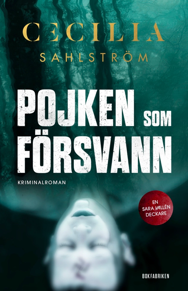 Pojken som försvann; Cecilia Sahlström; 2019