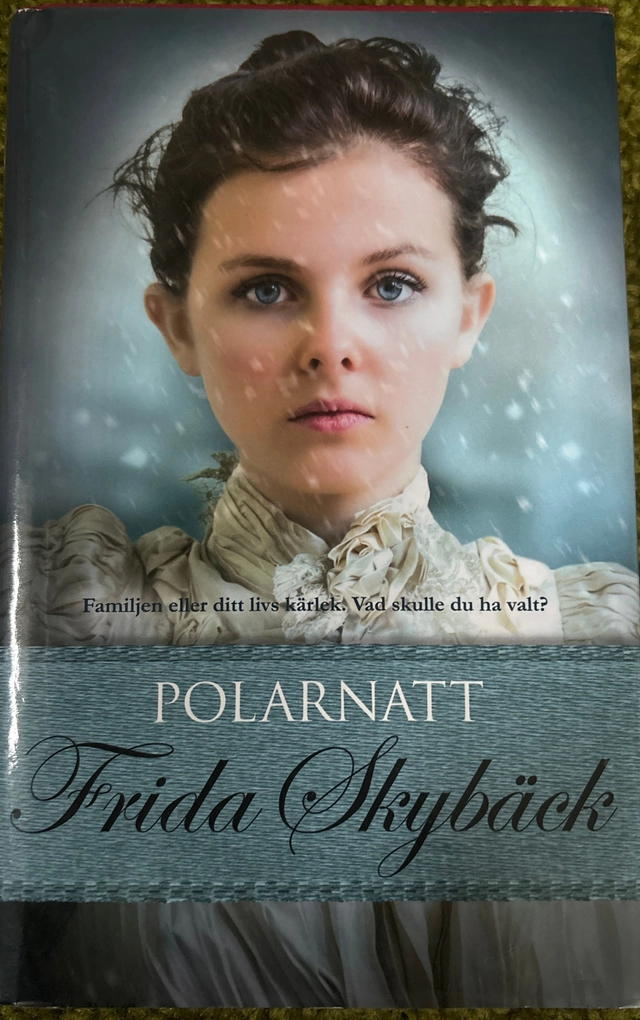 Polarnatt; Frida Skybäck; 2015