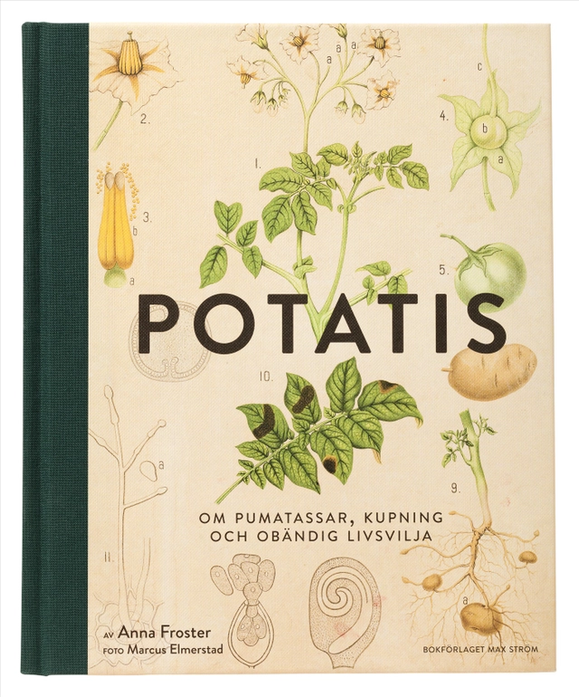 Potatis; Anna Froster, Marcus Elmerstad; 2016