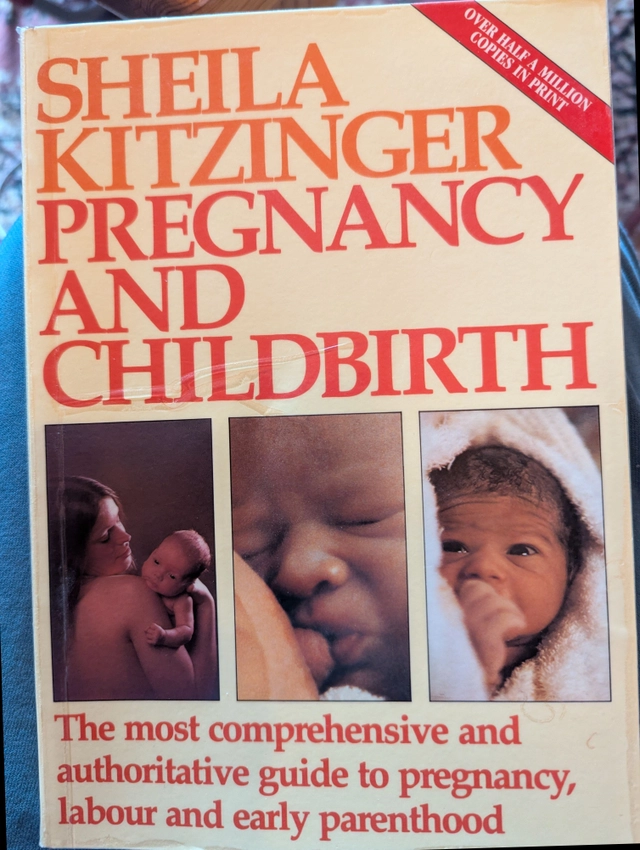 Pregnancy and Childbirth; Sheila Kitzinger; 1982