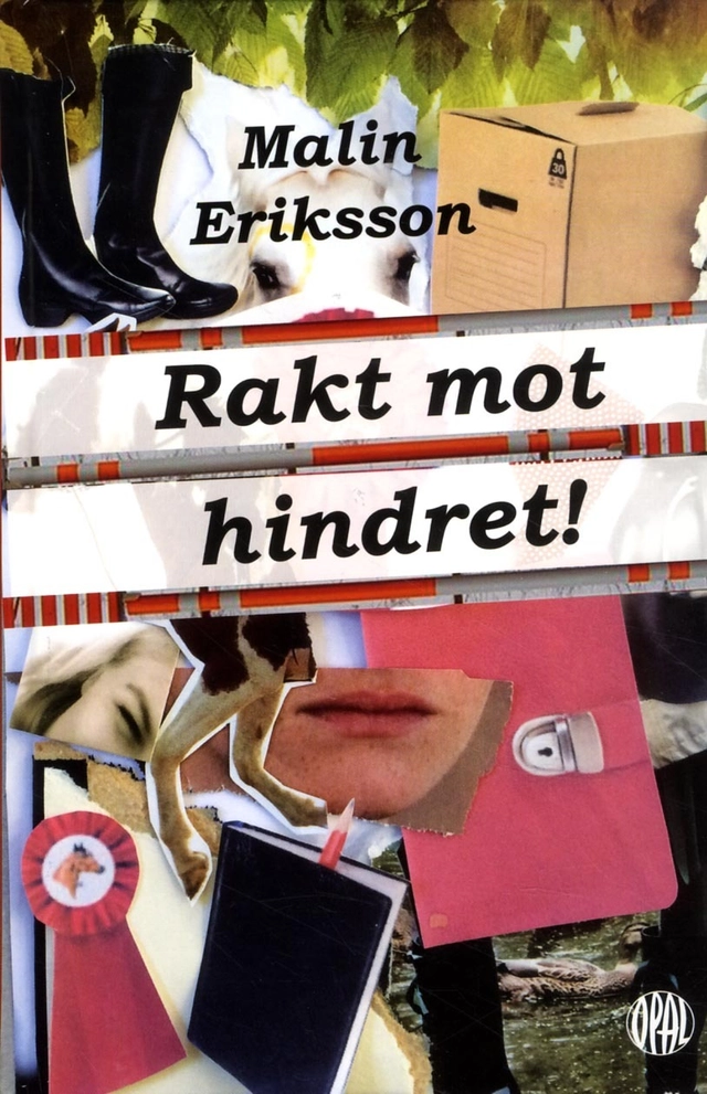 Rakt mot hindret!; Malin Eriksson; 2016