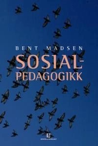 Reflekterende prosesser i praksis : klientsamtaler, veiledning, konsultasjon og forskning; Helge Eliassen, Jaakko Seikkula; 2006