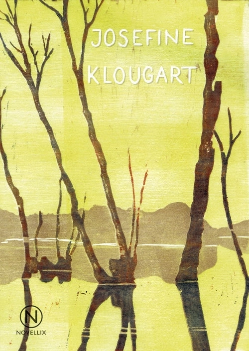 Regn; Josefine Klougart; 2017