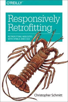Responsively Retrofitting; Christopher Schmitt; 2018