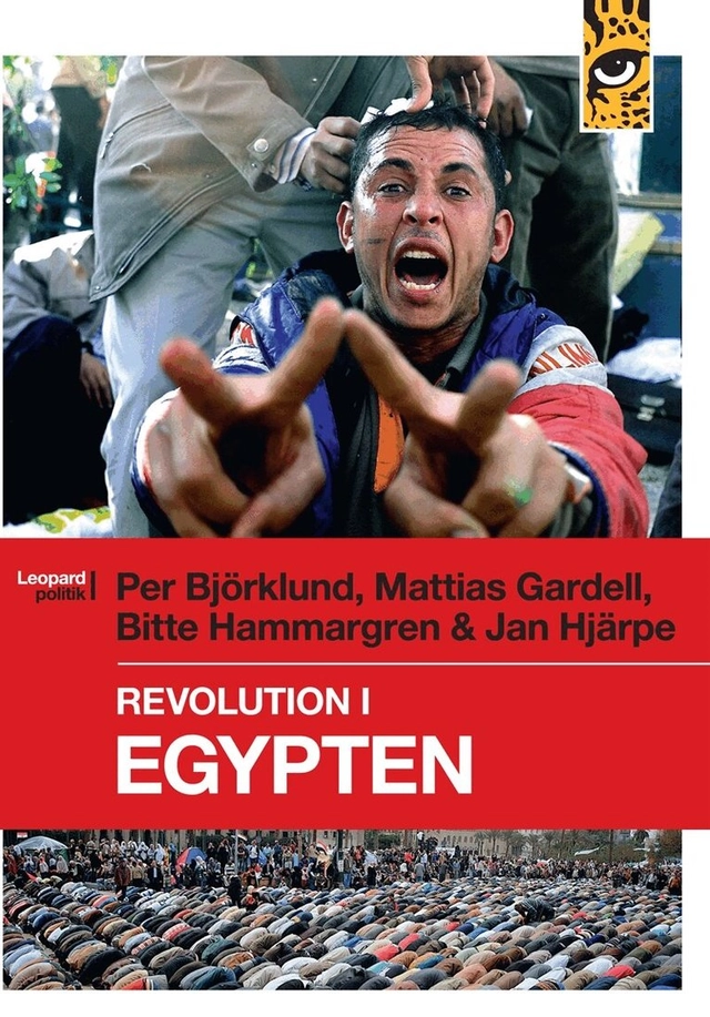 Revolution i Egypten; Mattias Gardell, Jan Hjärpe, Per Björklund, Bitte Hammargren; 2014