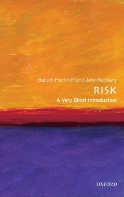Risk; Baruch. Fischhoff, John. Kadvany; 2011
