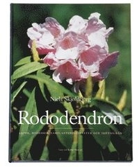 Rododendron : arter, hybrider, samplanteringsväxter och skötselråd; Niels Sköldberg; 2004