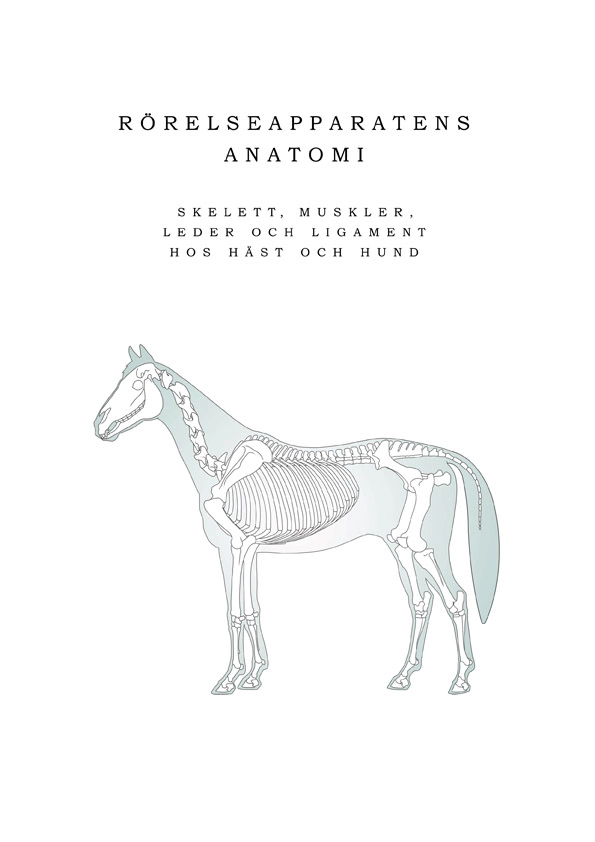 Rörelseapparatens anatomi :  skelett, muskler, leder och ligament hos häst och hund; Anja Launila; 2014