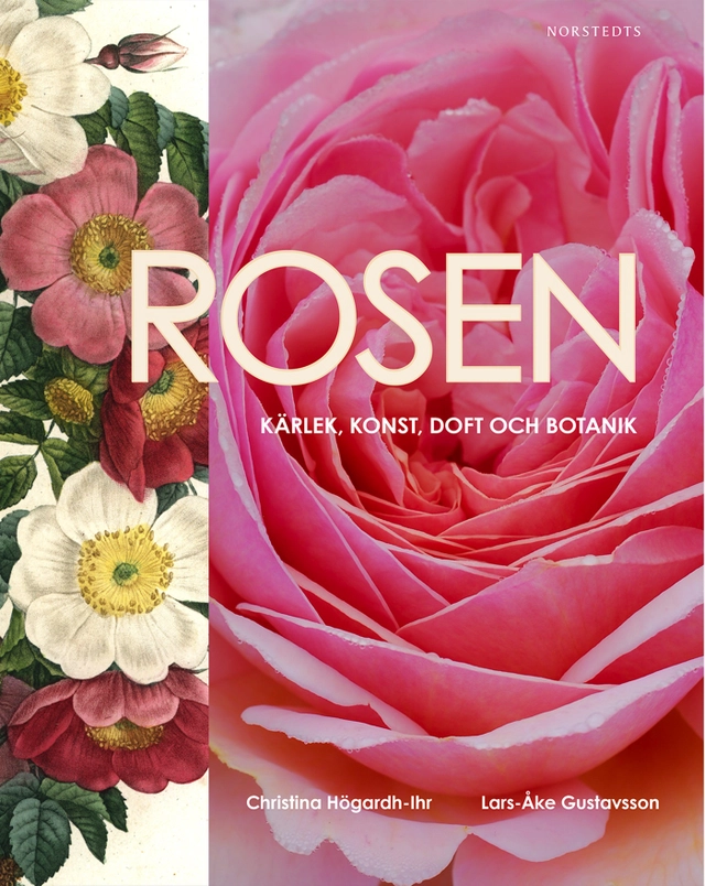 Rosen : kärlek, konst, doft och botanik; Christina Högardh-Ihr, Lars-Åke Gustavsson; 2014