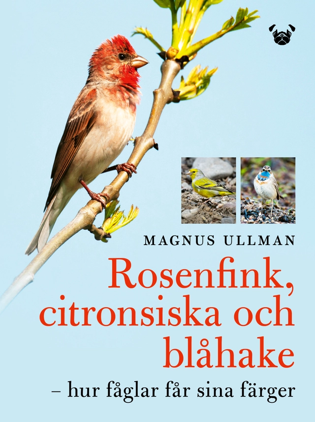 Rosenfink, citronsiska och blåhake : hur fåglar får sina färger; Magnus Ullman; 2022