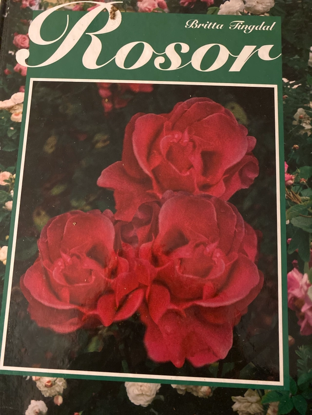 Rosor; Britta Tingdal; 1997