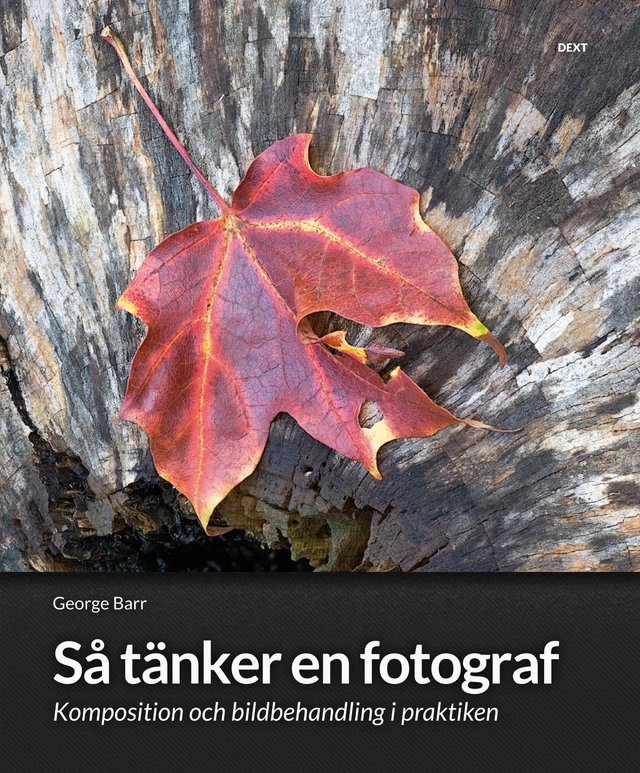 Så tänker en fotograf : komposition och bildbehandling i praktiken; George Barr; 2011