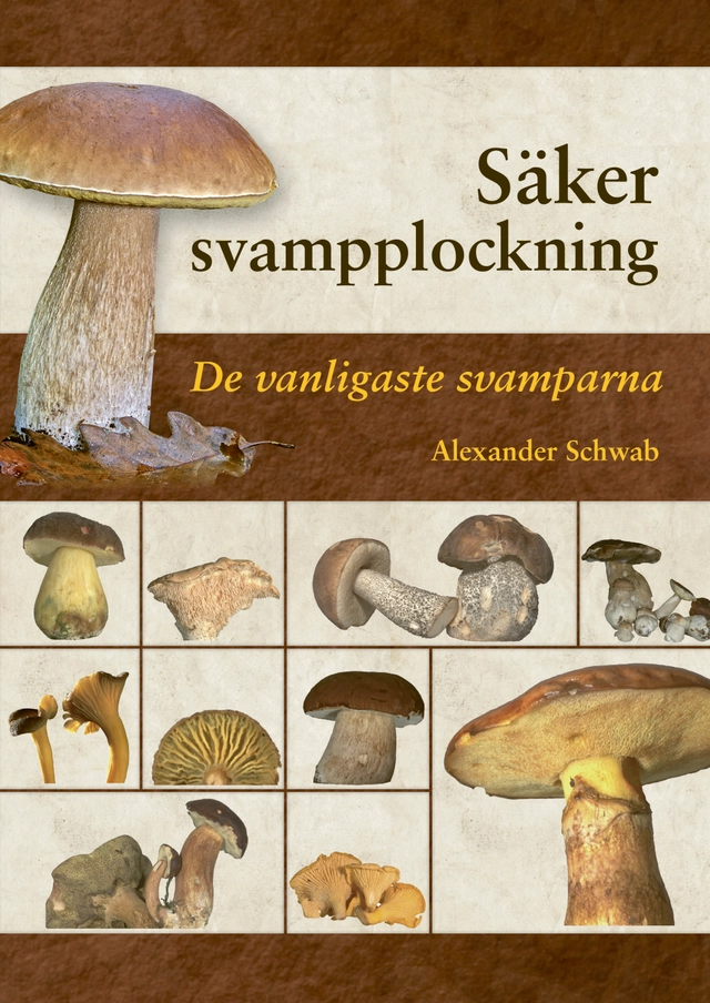 Säker svampplockning : de vanligaste svamparna; Alexander Schwab; 2020