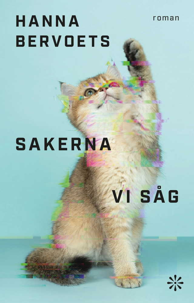 Sakerna vi såg; Hanna Bervoets; 2023
