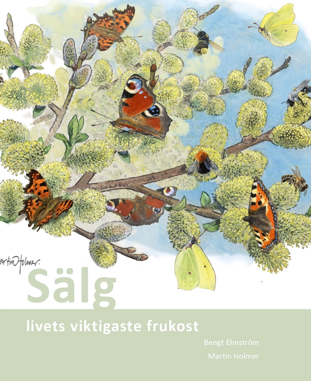 Sälg : livets viktigaste frukost; Centrum för biologisk mångfald,, Världsnaturfonden WWF,, Svenska Naturskyddsföreningen,, Bengt Ehnström; 2011