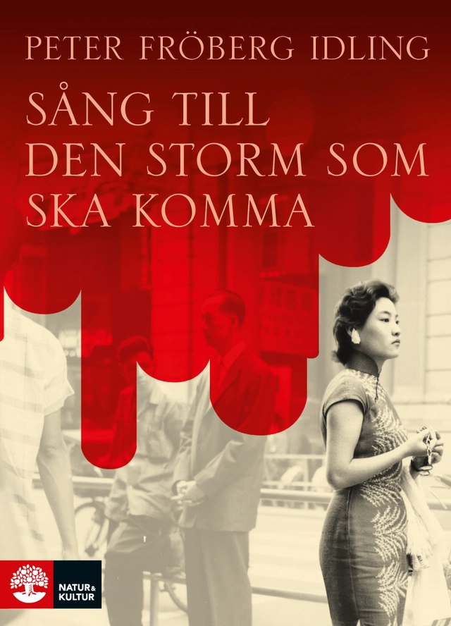 Sång till den storm som ska komma; Peter Fröberg Idling; 2013