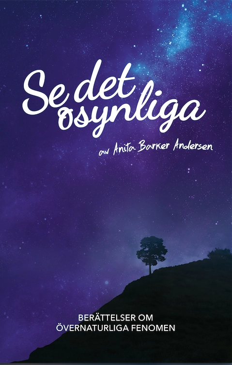 Se det osynliga; Anita Barker Andersen; 2014