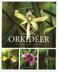 Sensuella orkidéer; Peter Göttfert, Anders Wigh, Lucia Röed; 2004