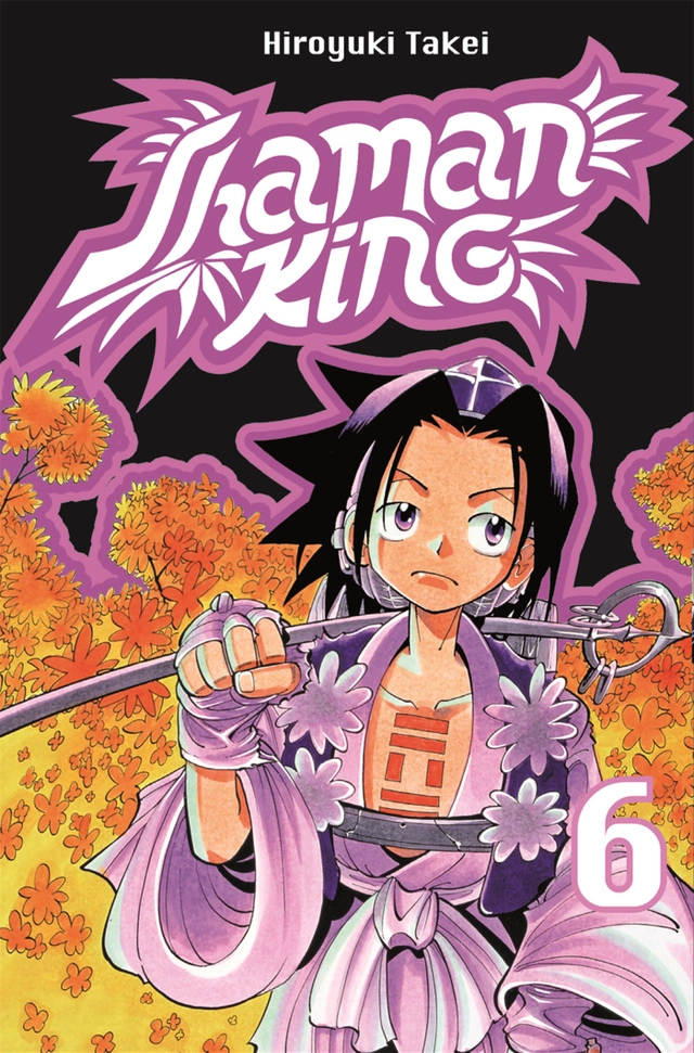 Shaman King 06 : Resan till Izumo; Hiroyuki Takei; 2008