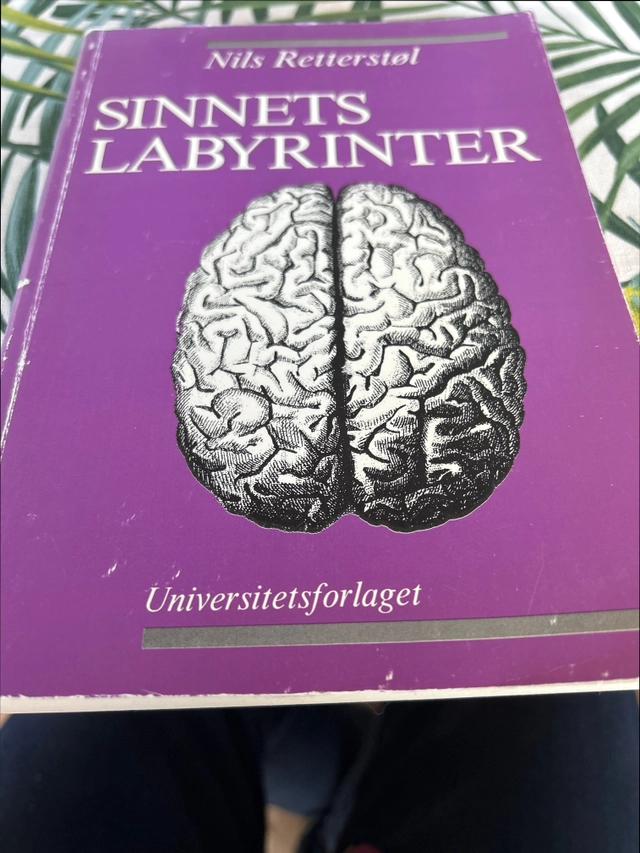 Sinnets labyrinter; Nils Retterstøl; 1990