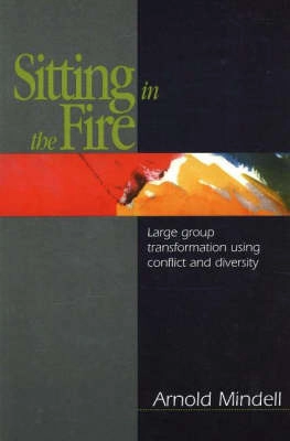 Sitting in the fire : large group transformation using conflict and diversity; Arnold Mindell; 1995