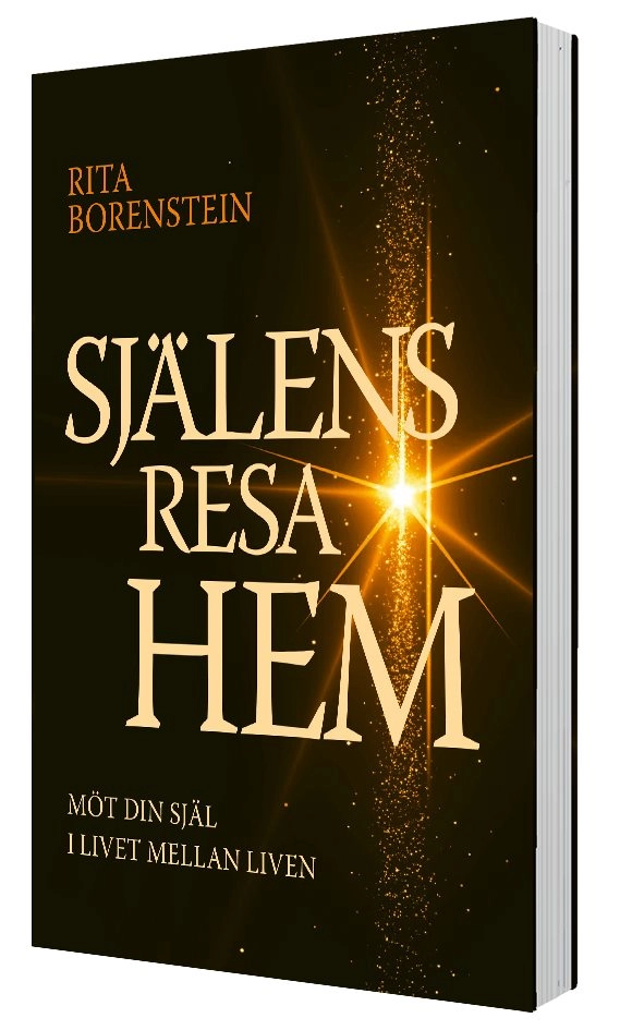 Själens resa hem : möt din själ i livet mellan liven; Rita Borenstein; 2020