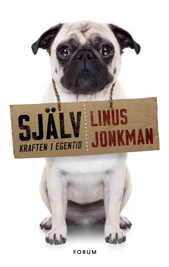 Själv : kraften i egentid; Linus Jonkman; 2016