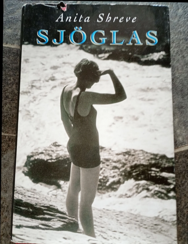 Sjöglas; Anita Shreve; 2002