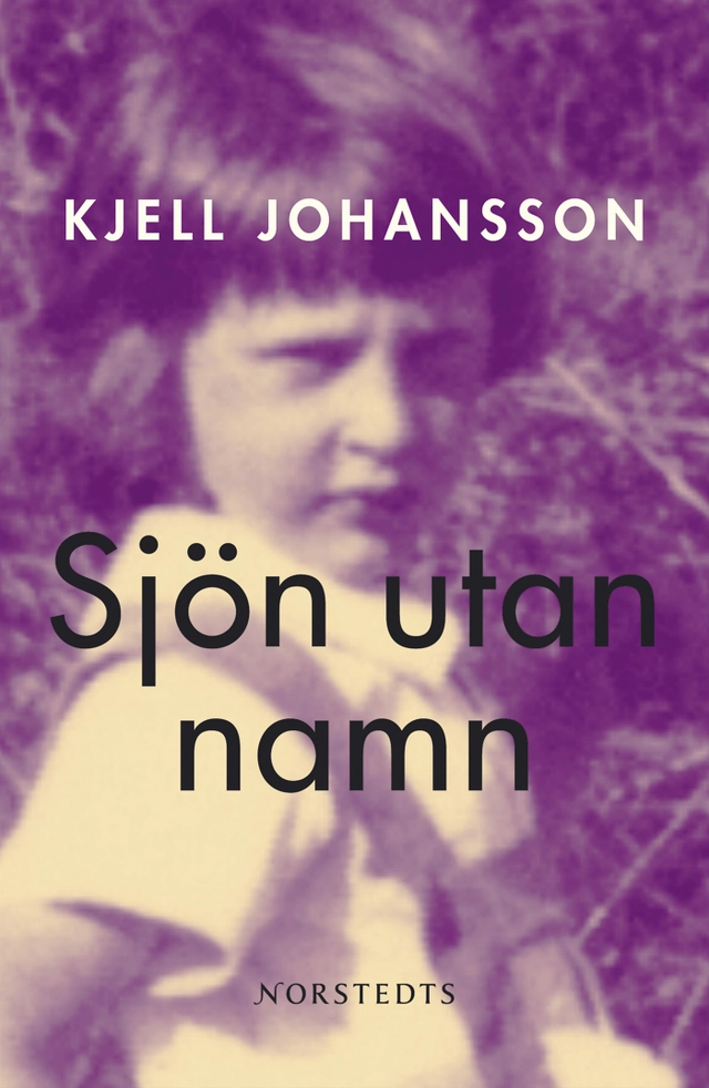 Sjön utan namn; Kjell Johansson; 2003