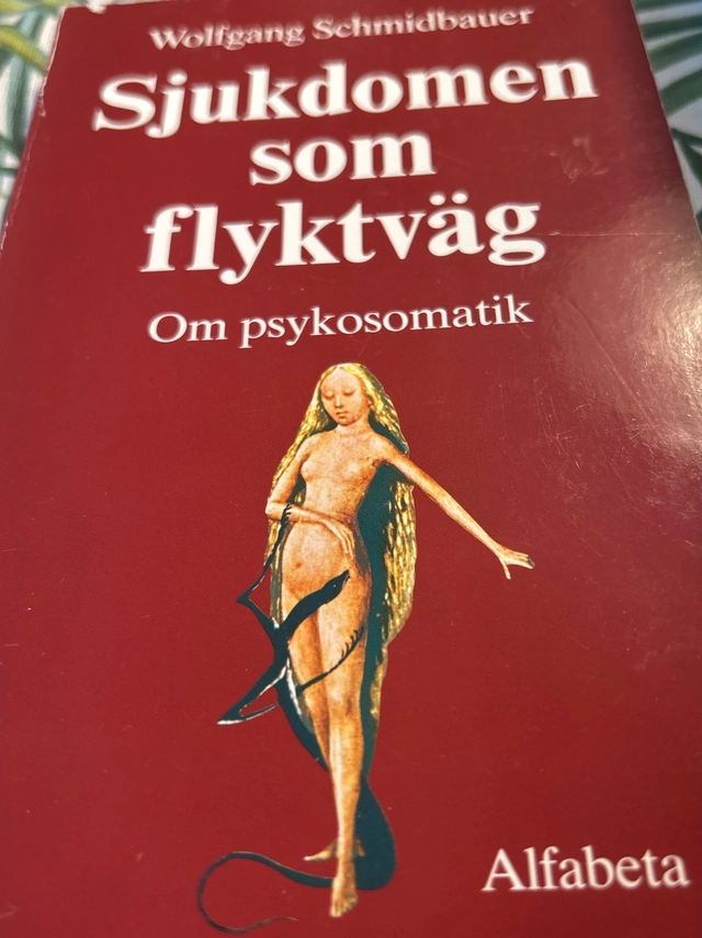 Sjukdomen som flyktväg; Wolfgang Schmidbauer; 1989