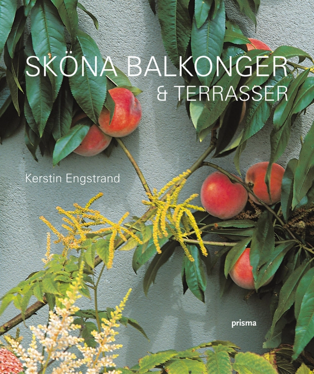 Sköna balkonger & terrasser; Kerstin Engstrand; 2004