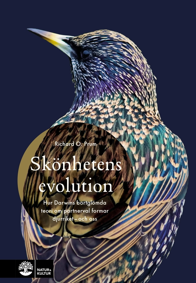 Skönhetens evolution : hur Darwins bortglömda teori om det sexuella urvalet formar djurriket - och oss; Richard O. Prum; 2019