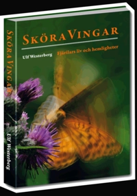 Sköra vingar; Ulf Westerberg; 2011