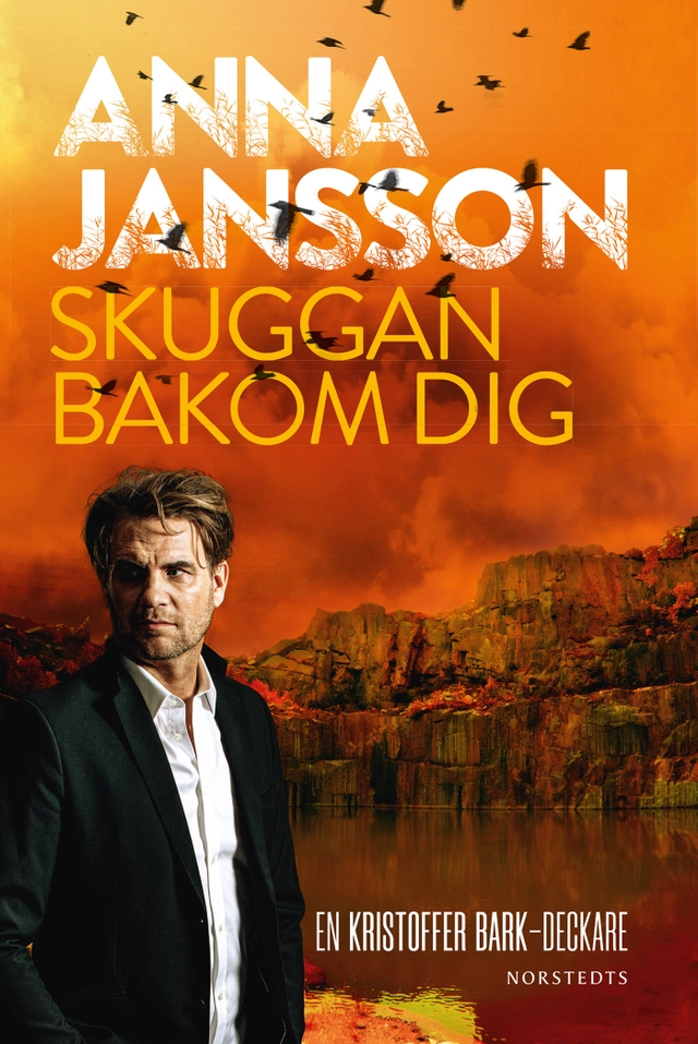Skuggan bakom dig; Anna Jansson; 2020