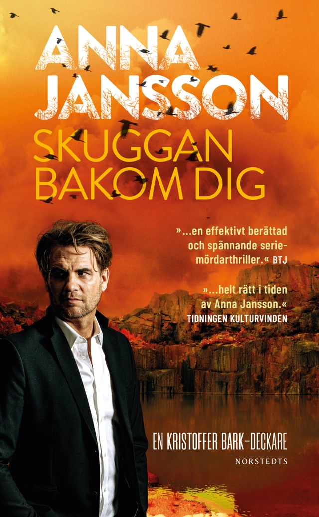 Skuggan bakom dig; Anna Jansson; 2021