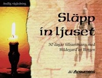 Släpp in ljuset : 30 dagar tillsammans med Hildegard av Bingen; Lena Steenbrink, John Kirvan; 2002