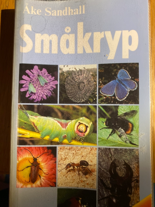 Småkryp; Åke Sandhall; 1991