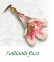 Smålands flora; Thomas Karlsson, Margareta Edqvist; 2007