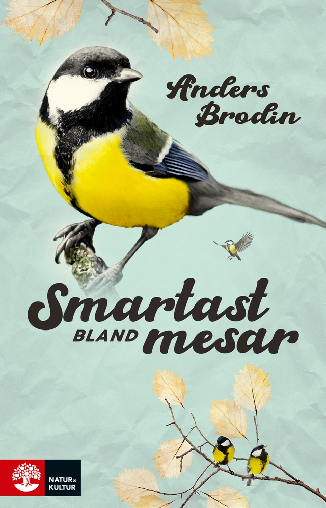 Smartast bland mesar; Anders Brodin; 2020