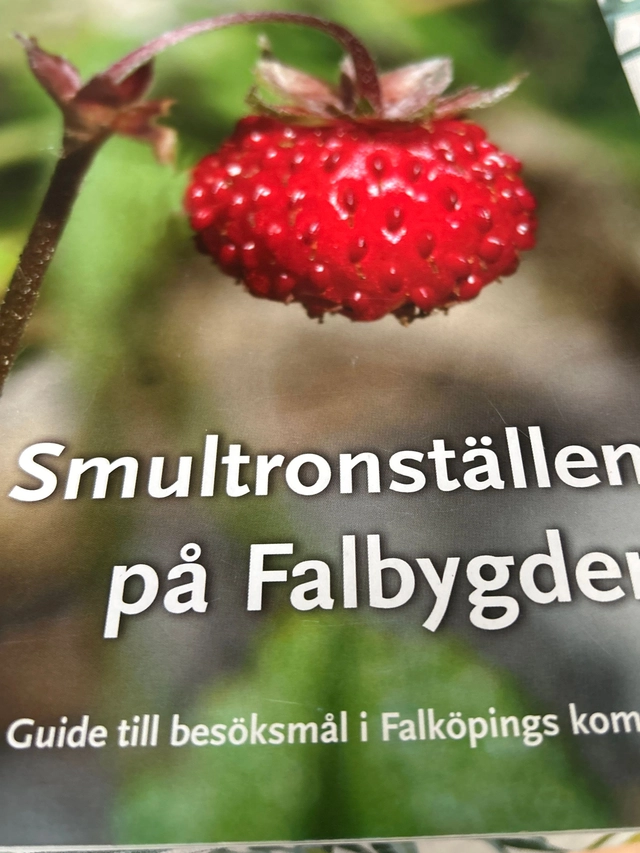 Smultronställen på Falbygden : vägvisare till naturliga besöksmål på Falbygden; Falköpings kommun (Sverige); 2009