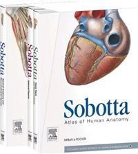Sobotta Atlas of Human Anatomy English/Latin ; Friedrich Paulsen; 2011
