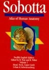 Sobotta Atlas of human anatomy Vol. 1; Johannes Sobotta; 1994
