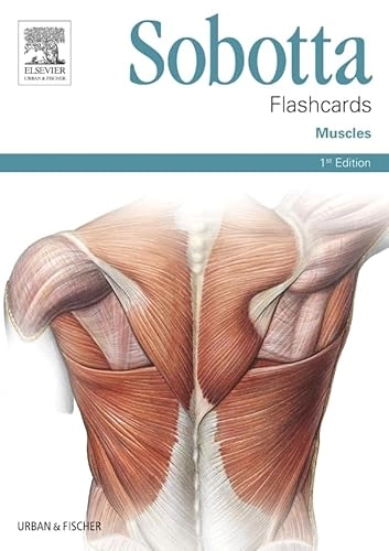 Sobotta Flashcards Muscles; Lars Bruer; 2013